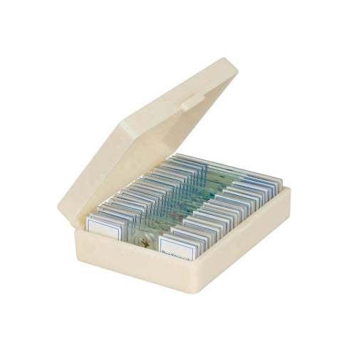 Biological Glass Microscope Slides