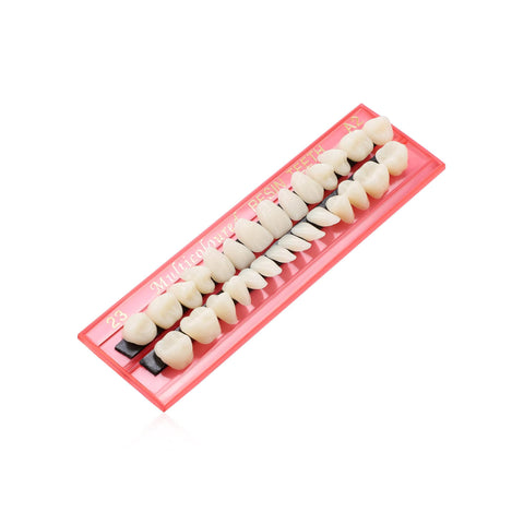 Acrylic Synthetic Resin Dental Denture Teeth Set