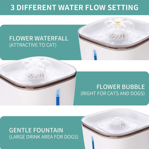 Pet Water Fountain