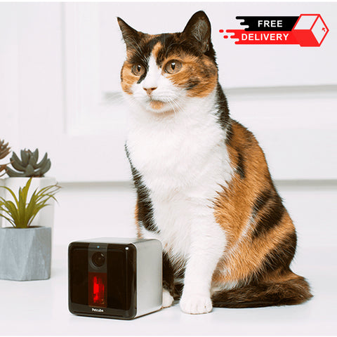 Petcube Play Wi-Fi Camera for Your Loving Pet's