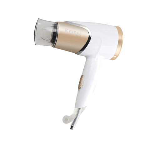 Professional Hair Dryer